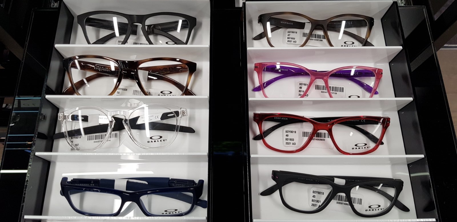 luxottica roadshow